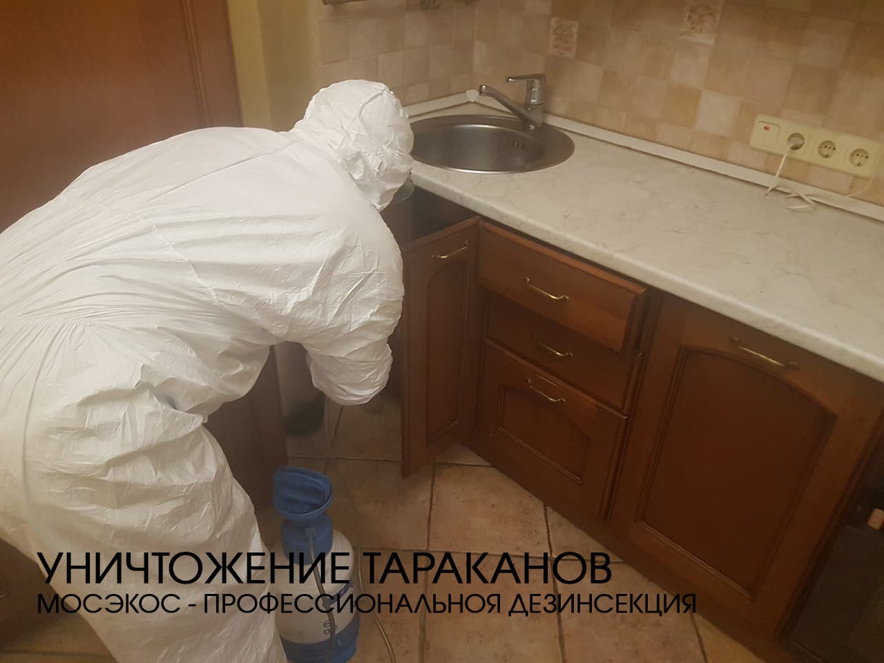 Служба по уничтожению тараканов в Егорьевске
