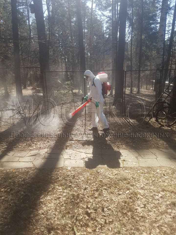Уничтожение клещей на участке в Егорьевске