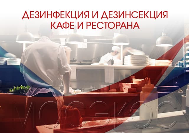 Дезинсекция предприятия общественного питания в Егорьевске