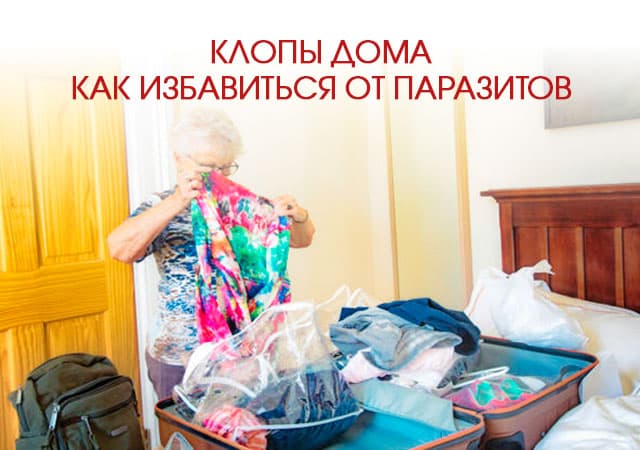 Клопы дома: как избавиться от паразитов в Егорьевске