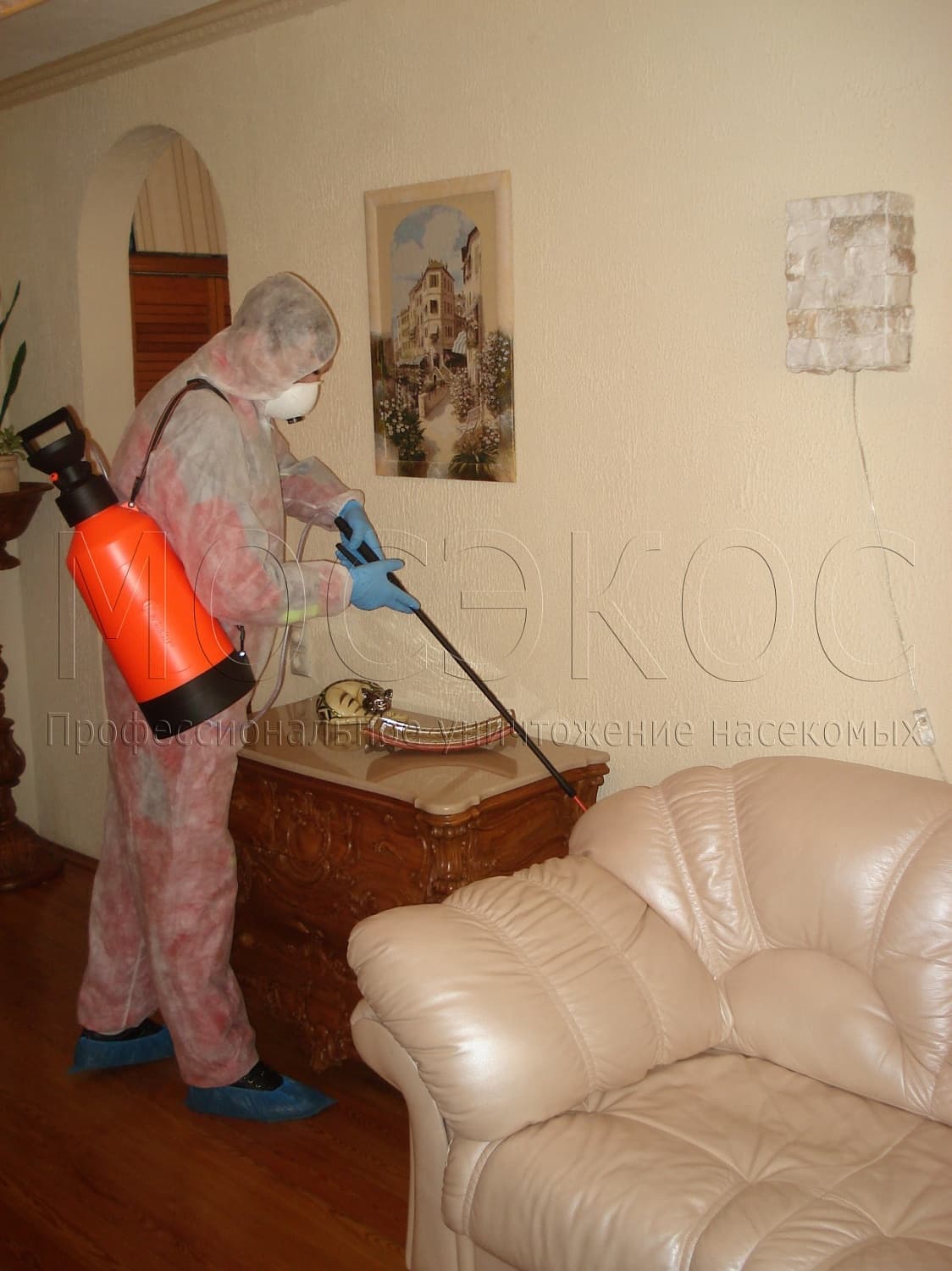 Клопы дома: как избавиться от паразитов в Егорьевске